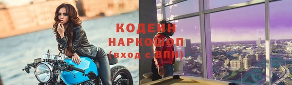 тгк Богданович