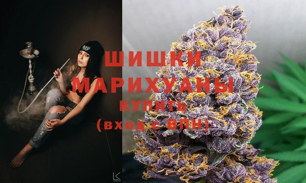 тгк Богданович