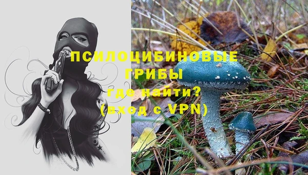 тгк Богданович
