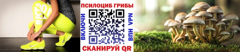 Псилоцибиновые грибы Cubensis  Юрга 