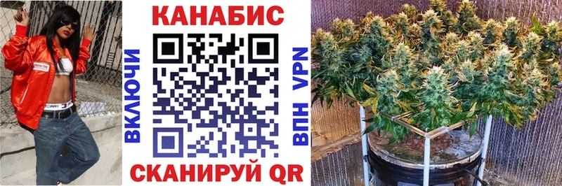 закладки  мега сайт  Шишки марихуана план  Юрга 